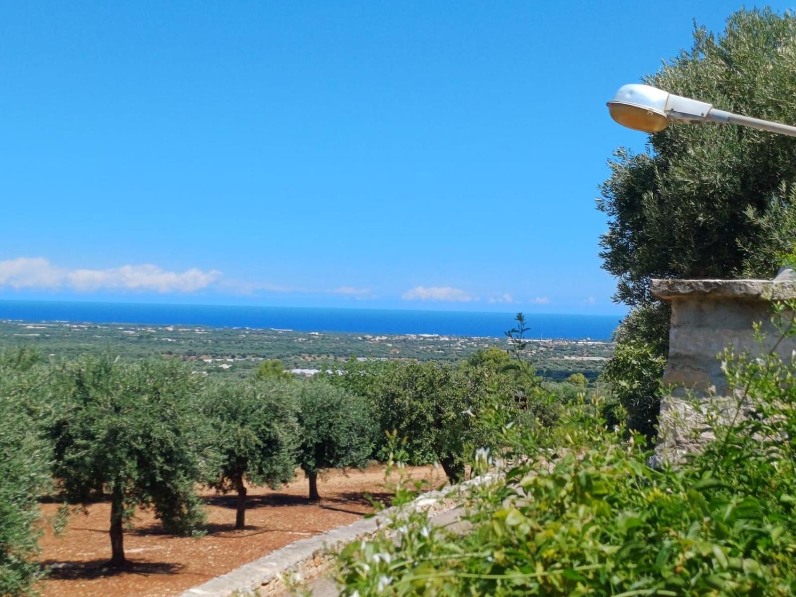 Hill Trull - Typical Apulian House Villa Monopoli Ngoại thất bức ảnh